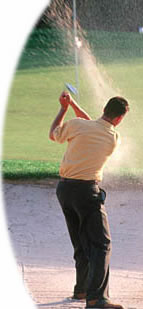 Golf Ball Image